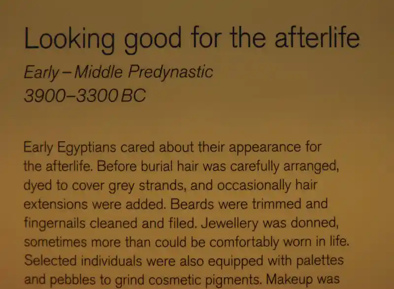 Ivory figurines of women with pubic triangles.